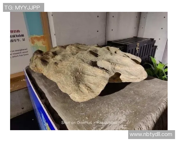 足球星球纪录片全纪录带你走进球场背后的故事与精彩瞬间